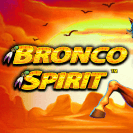 Bronco Spirit